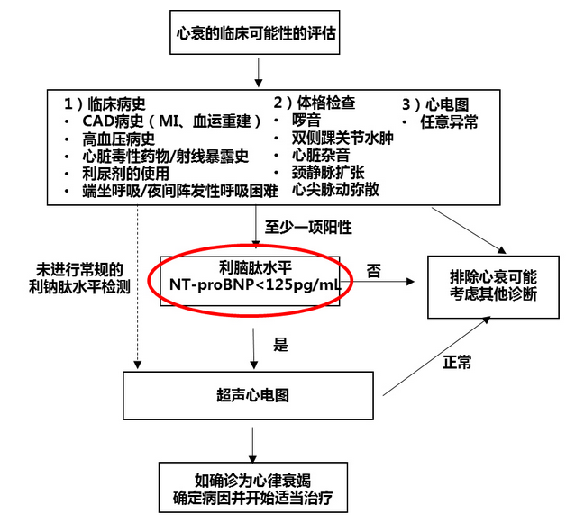 慢性心衰的診斷流程