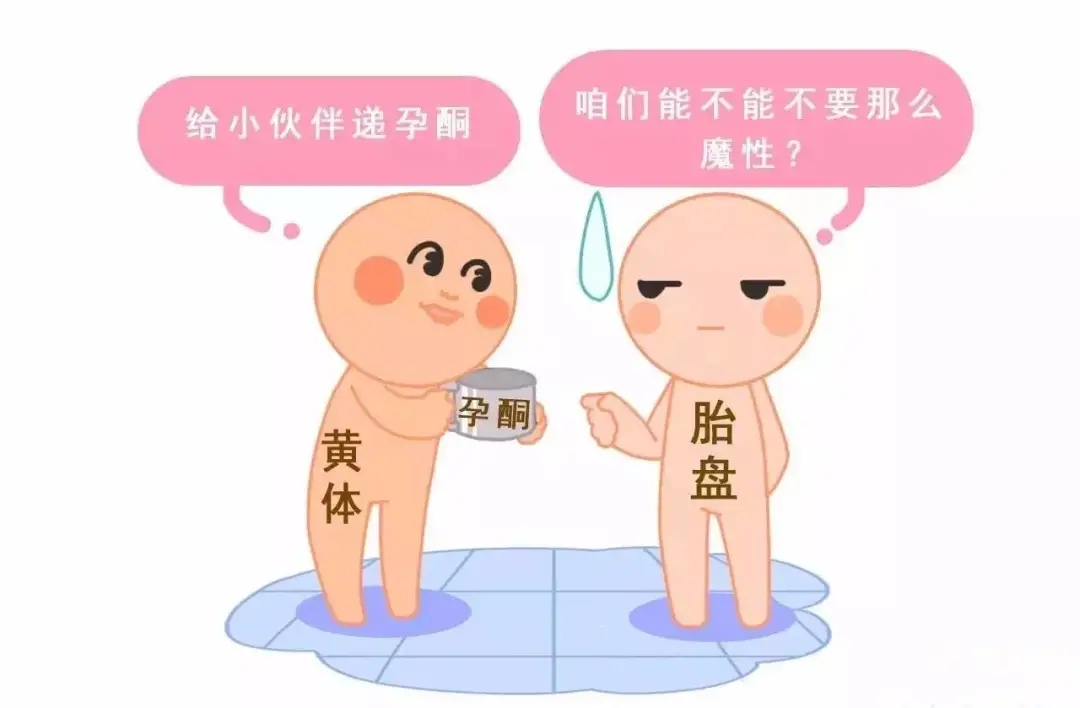 HCG和孕酮低一定會流產(chǎn)？備孕女性必須知道的孕早期“秘密”