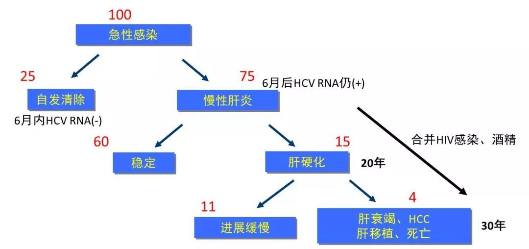 丙肝檢測(cè)的弱陽性究竟是不是感染了丙肝？